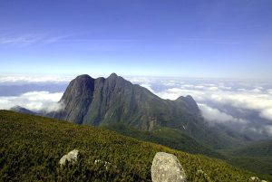 Alerta! Trilha que leva à Montanha da Ciririca tem risco de ataque de abelhas