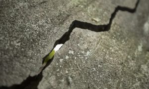 Velocidade de afundamento de mina em Maceió diminui