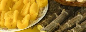 Bebida fermentada sem lactose a base de mandioca, aceita?
