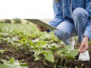Programa de Pós-Graduação em Engenharia Agrícola abre inscrições para Mestrado e Doutorado