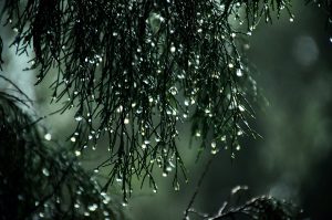 2024 com El Niño forte: veja como será a previsão do tempo em janeiro