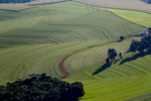 Seguro rural garantiu apoio aos produtores de diversas culturas em 2023