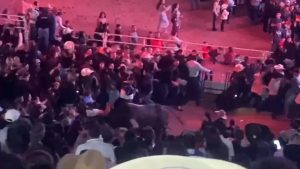 Touro invade arena de rodeio e 13 pessoas ficam feridas
