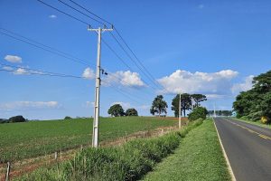 Agricultura paranaense conta com 15 mil quilômetros de redes trifásicas