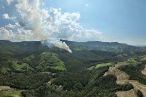 Paraná apresenta queda no desmatamento em 2023