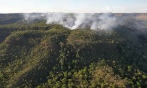 Incêndio atinge divisa do Santuário de Elefantes no Mato Grosso