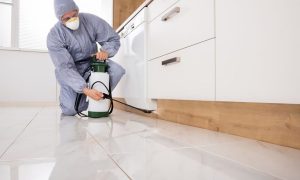 Controle de pragas urbanas é regulamentado por Comissão de Agricultura