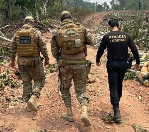 Homem é preso em flagrante com caminhão carregado de madeira ilegal