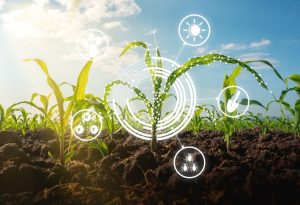 Nova parceria do Mapa deve desenvolver Plataforma Digital de Inovação Agropecuária
