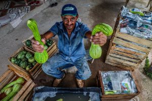 Mato Grosso sanciona leis para fortalecer a agricultura familiar