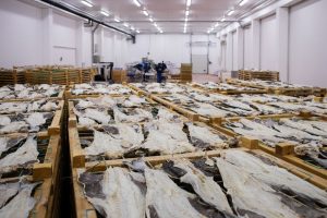 Noruega tem valor recorde para as exportações de pescados e frutos do mar em 2023