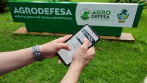 Cadastro de lavouras de soja deve ser feito até dia 27 de janeiro