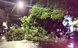 Porto Alegre tem noite de pavor com temporal violento e destrutivo