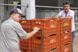 Organização recebe 250 caixas de pequi para Banco de Alimentos