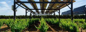 Projeto de energia solar na agricultura pode melhorar produções