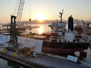 Porto de SC atinge maior movimentação de carga da história