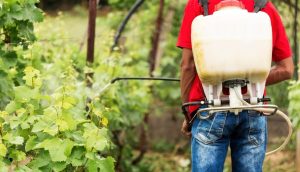 Goiás promove ações para minimizar riscos de exposição aos defensivos agrícolas