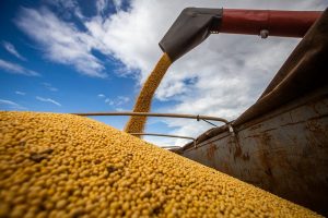 CNA apresenta propostas de apoio aos produtores de soja e milho