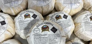 Com certificação, produtora rural se destaca por qualidade na produção de queijos