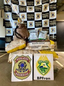 Policiais apreendem mais de 400 kg de agrotóxicos durante patrulhamento