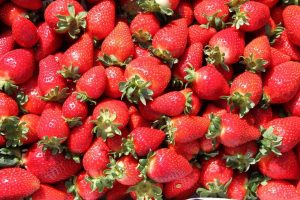 Novos cultivares de morango e batata serão apresentados no Show Rural