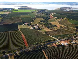 Com apoio do agronegócio, Paraná foi o estado que mais cresceu em 2023