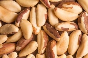 Para 2024: preços mínimos para os produtos extrativos são publicados