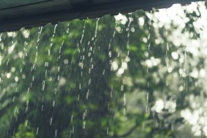 Semana terá combinação e calorão e chuva no Paraná