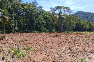 Desmatamento ilegal gera multa de R$ 55 mil no PR