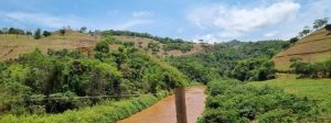 5º edital de notificação de análises do Cadastro Ambiental Rural é publicado