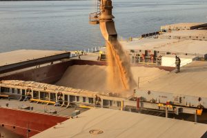 Exportações do agro paranaense cresceram 40,8% em volume