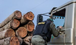 Servidores do Ibama prometem paralisar fiscalização ambiental se governo não atender pedidos da categoria