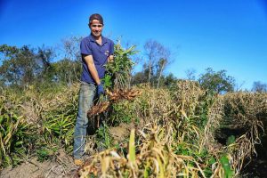 PR seleciona 34 profissionais em programa de residência em economia rural