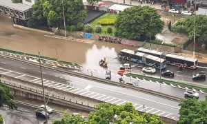 Homem morre após ser atingido árvore durante temporal