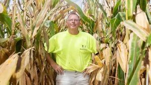 Recorde mundial! Agricultor colhe 651,7 sacas de milho por hectare