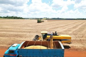 Cascavel exporta R$ 2,8 bilhões em 2023