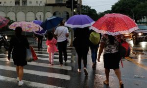 Chuvas em São Paulo provocam alagamentos e destruição