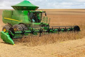 Produtores de soja devem atualizar cadastro de propriedades no Indea