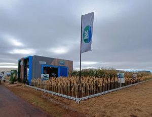 Sementes NK participa do Dia de Campo C.Vale  e apresenta lançamento em híbrido de milho 