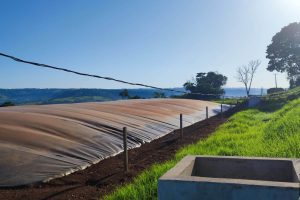 Paraná apoia geração de energia renovável no campo e vira referência internacional
