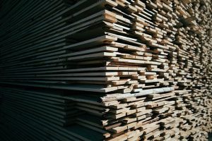 Renovação do registro de atividade florestal termina em março