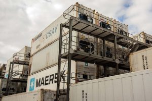 Paraná é o terceiro estado que mais exporta carne de peru