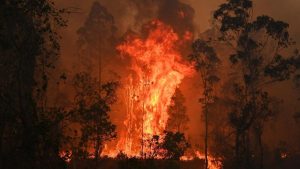 Milhares saem de casa na Austrália por ameaças de incêndio
