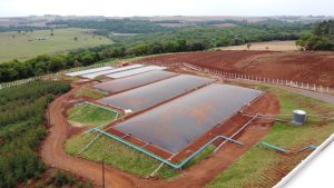 Vitrine do Biogás do Show Rural promove experiência imersiva em propriedade rural sustentável