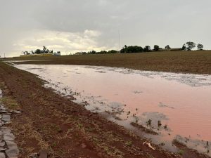 Temporal causa morte e estragos em propriedades rurais no Paraná