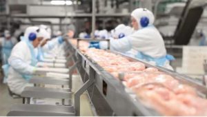 Fim da tarifa antidumpig sobre a carne de frango beneficia cooperativas do PR