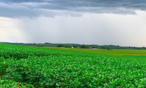 Monitoramento mostra o enfraquecimento do El Niño