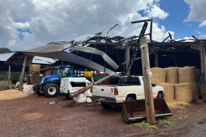 Fortes ventos causam estragos em propriedade rural no PR