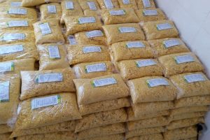 Cooperativa do PR investe em indústria de farinha de milho