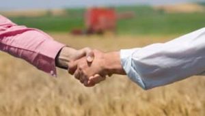 Projeto permite que arrendamento rural seja pago em produtos